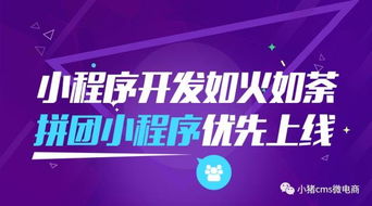 小程序开发如火如荼,小猪cms电商拼团小程序优先上线