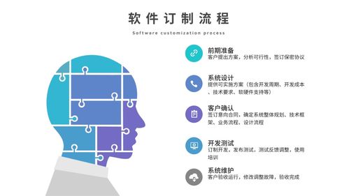 软件定制与ERP系统开发 新页软件官网服务解析