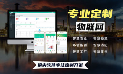 顶尖系统软件定制开发 赋能企业数字化未来
