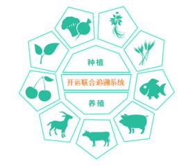 北京开运联合 专业定制食品追溯系统，助力食品安全与透明度